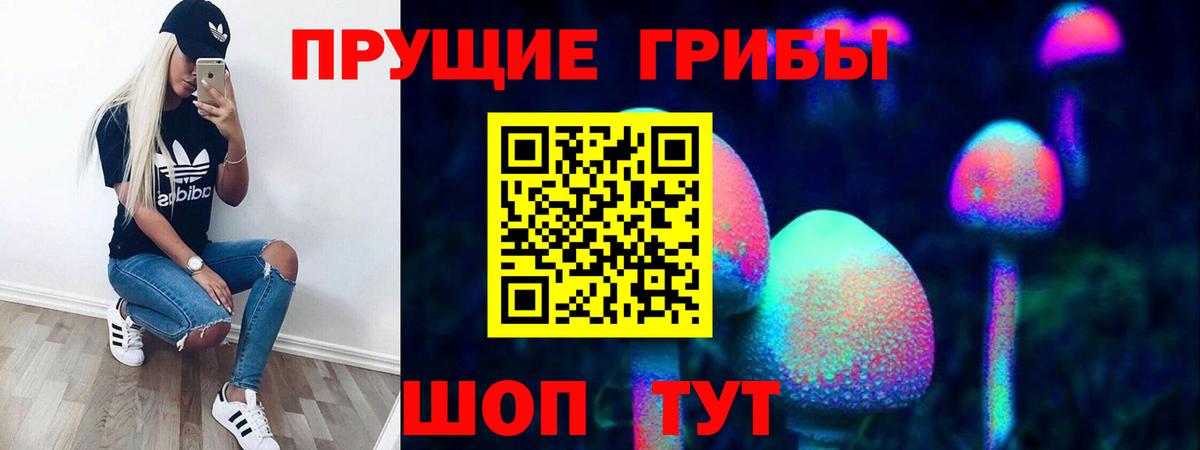 Псилоцибиновые грибы Cubensis Чита